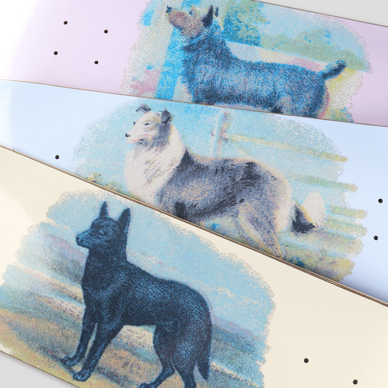 Pass~Port Hybrid Vigour Skateboard Deck - Terrier