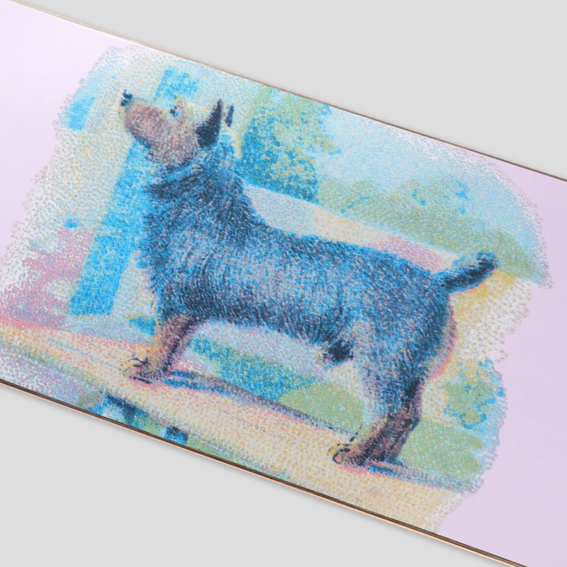 Pass~Port Hybrid Vigour Skateboard Deck - Terrier