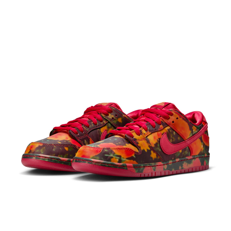 Nike SB Dunk Low Pro QS - Wizard of Oz