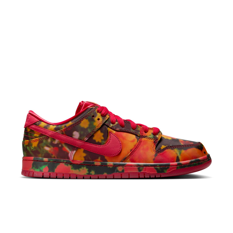 Nike SB Dunk Low Pro QS - Wizard of Oz