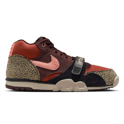 Arts & Rec x Nike SB Air Trainer 1 - Limestone / Pink Quartz / Earth