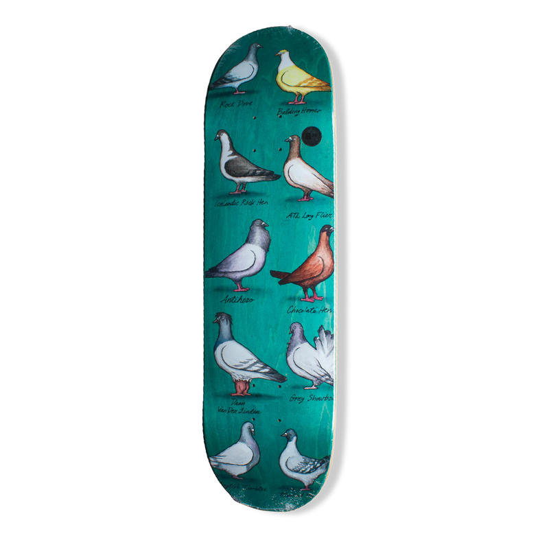 Antihero Show Pigeon Skateboard Deck - 8.38"