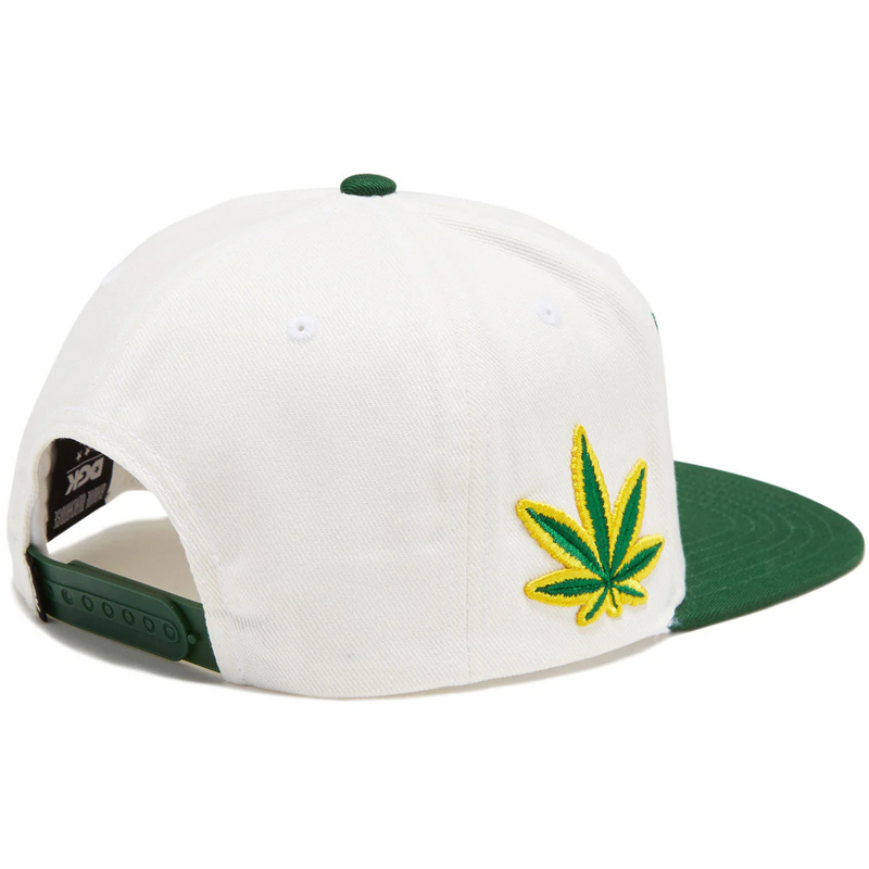 DGK Team Indica Cap - White