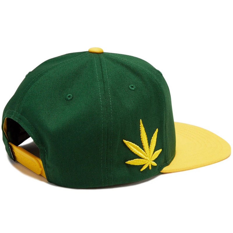 DGK Team Indica Cap - Green