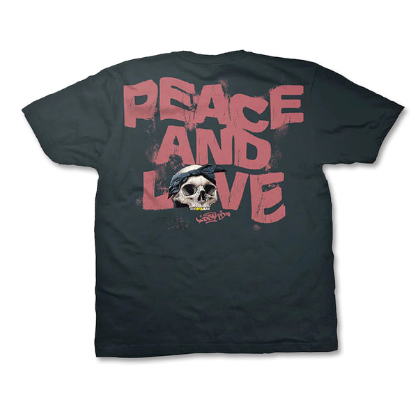 DGK Peace & Love Tee - Washed Black