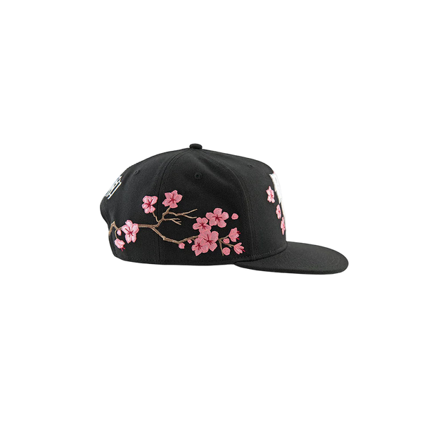 DGK Hanami Snapback - Black