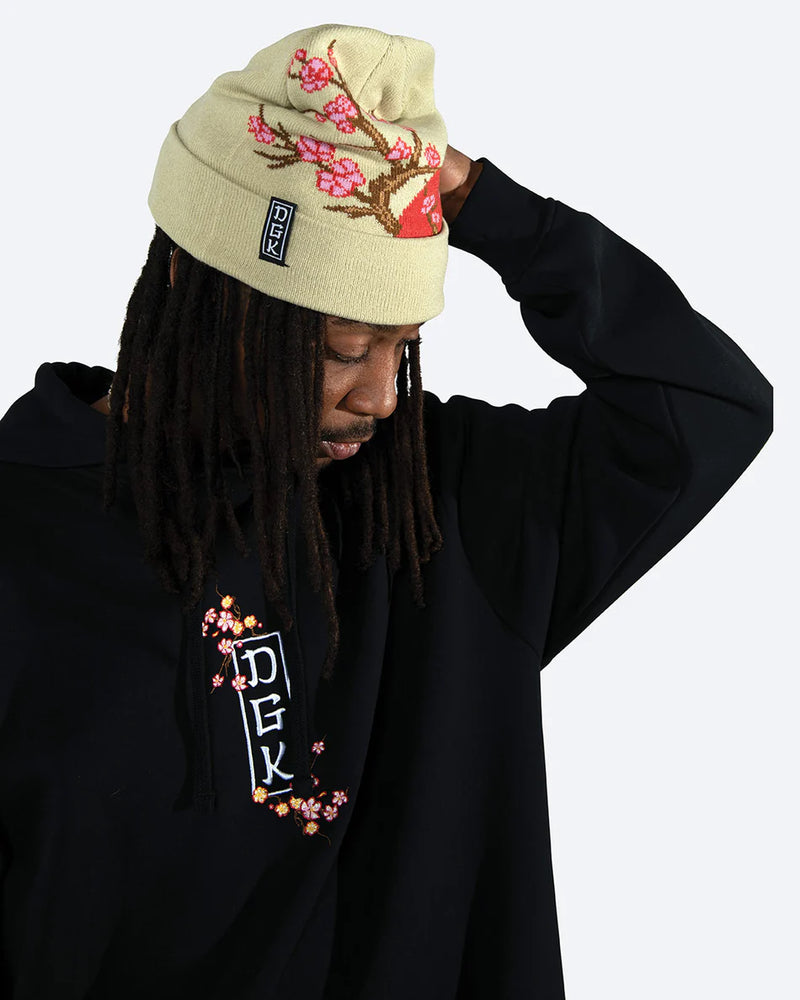 DGK Ancestry Embroidered Hooded Fleece - Black