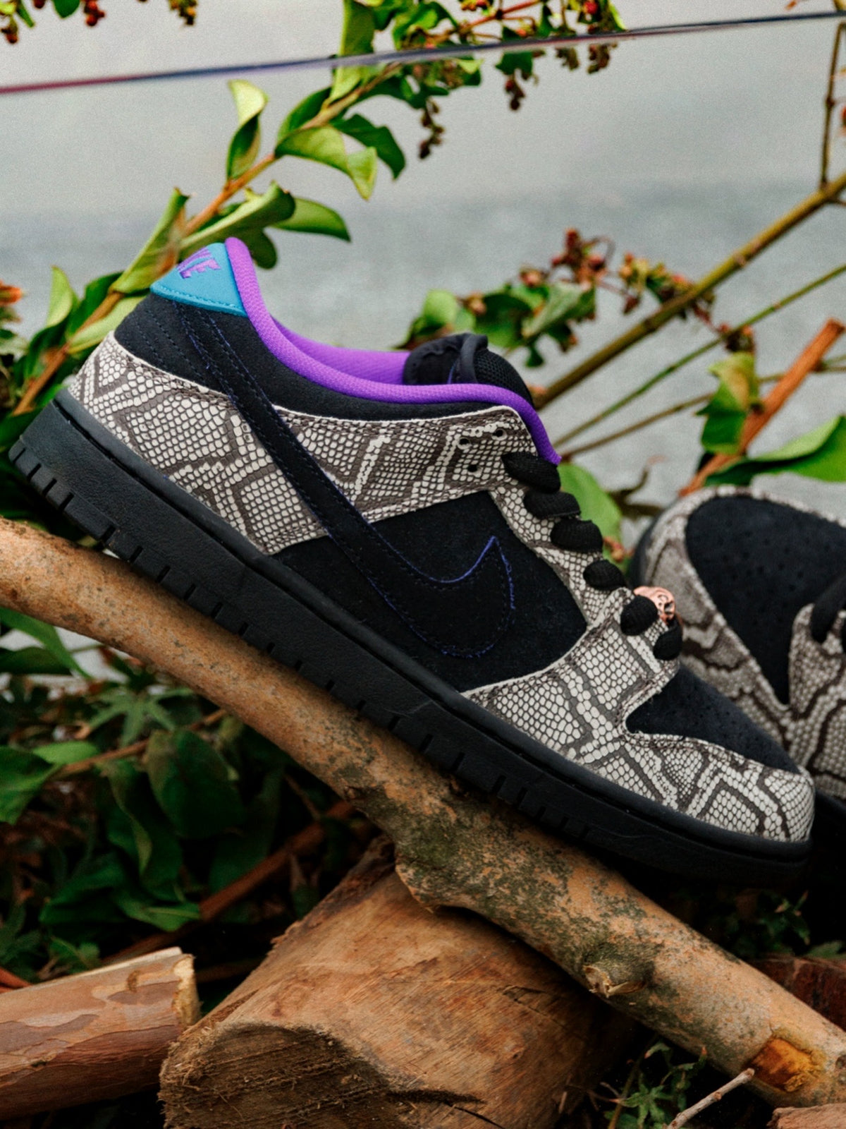 Nike SB Dashawn Jordan Copperhead Dunk Low | Evolve Skate Store
