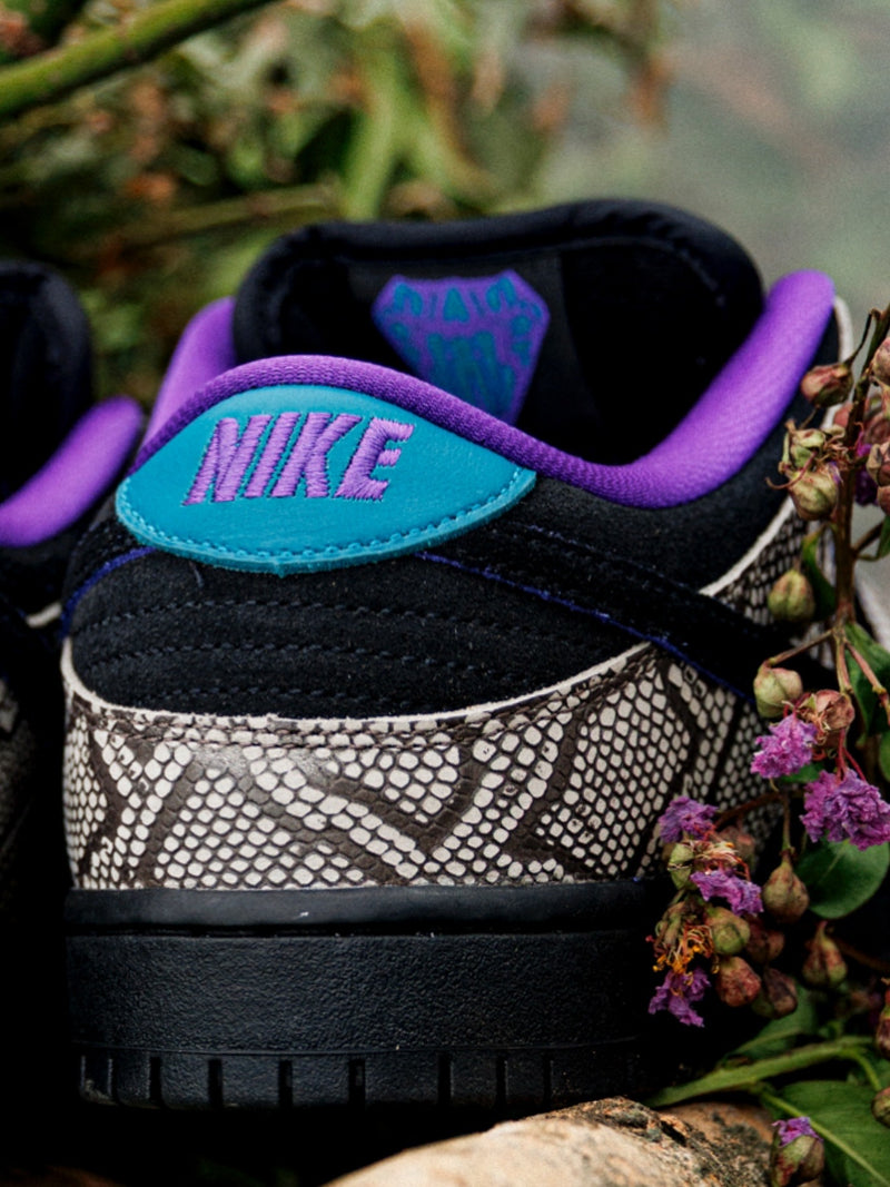 Nike SB Dunk Low Pro 
