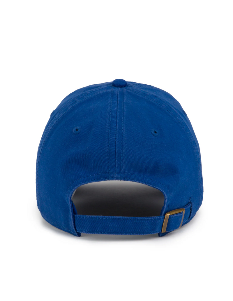 Gilroy Co Cookie Monster Ball Park Cap - Blue