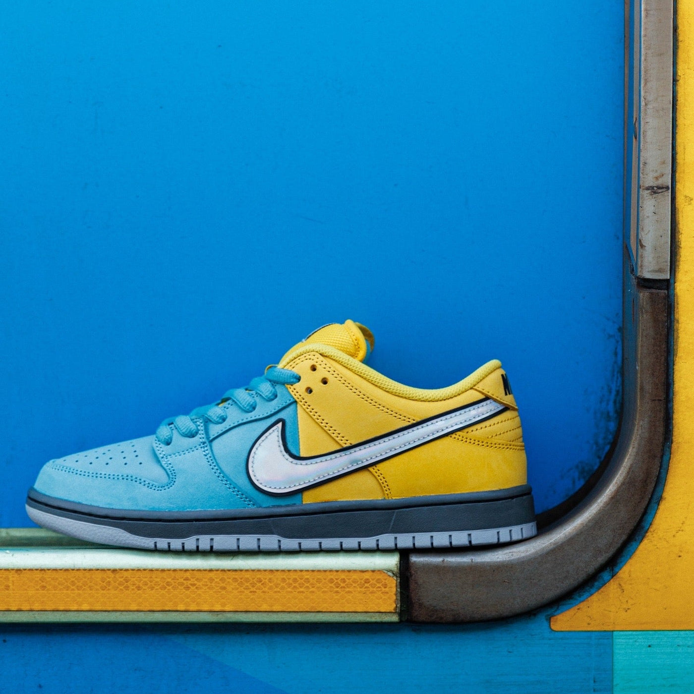 Nike SB Dunk Low Pro 