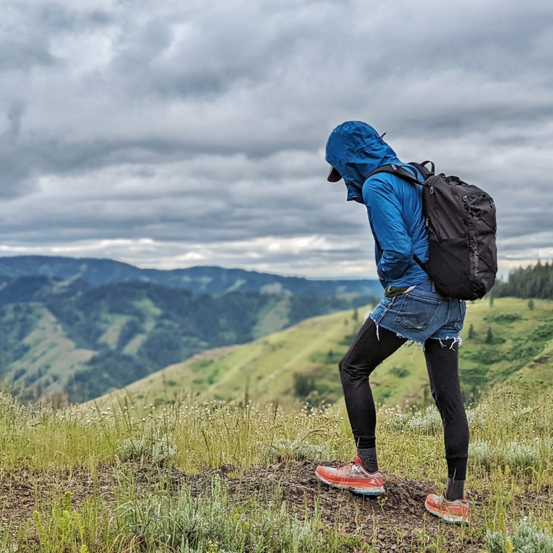 Patagonia Refugio Day Pack 30L