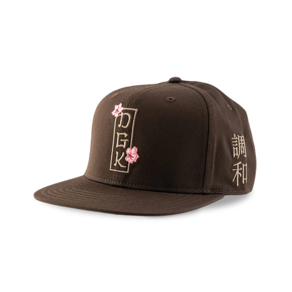 DGK Eternity Cap - Brown