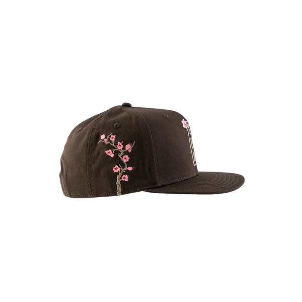 DGK Eternity Cap - Brown