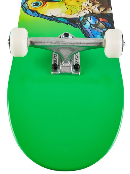 Globe PUSH - Toucan Complete Skateboard - 8.00"